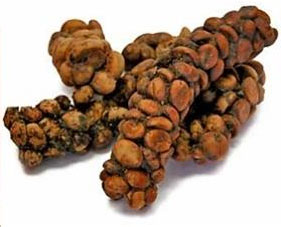 kopi luwak fezes