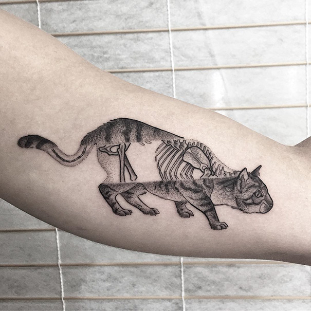 tatuagem-de-gato-9