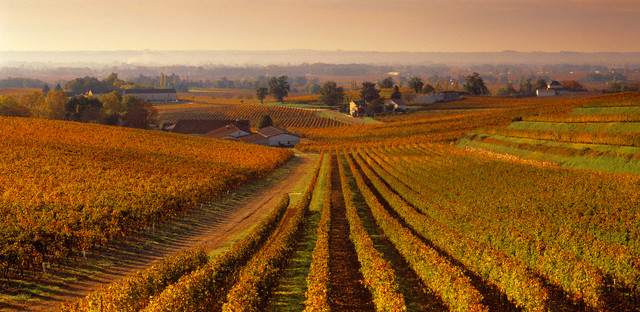 ca. 2006, St.-Emilion, France --- Vineyards near the town --- Image by © Grand Tour/Corbis
