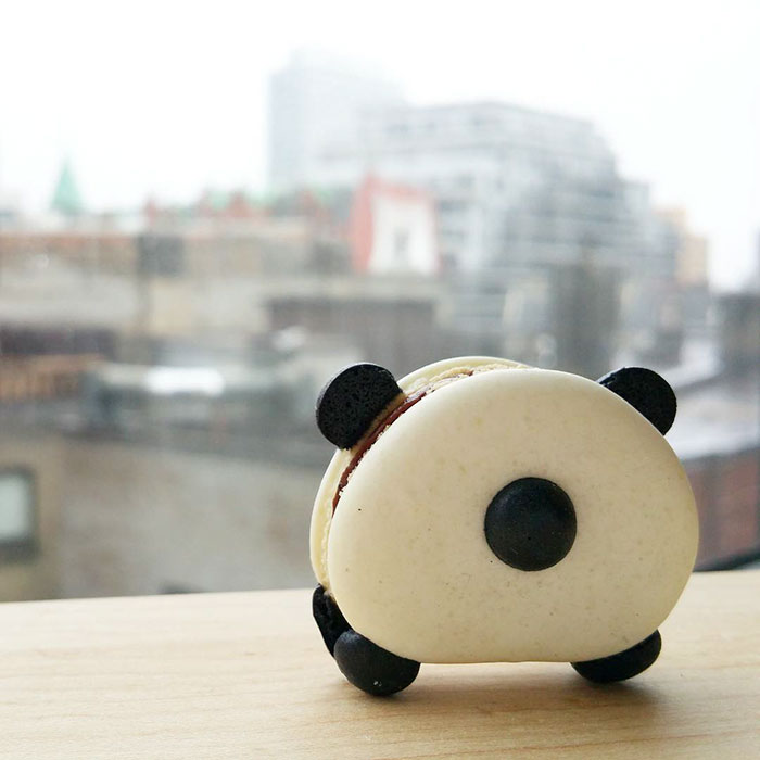 cute-panda-macaroons-melly-eats-world-17