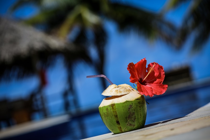 água de coco com flor de hibiscu