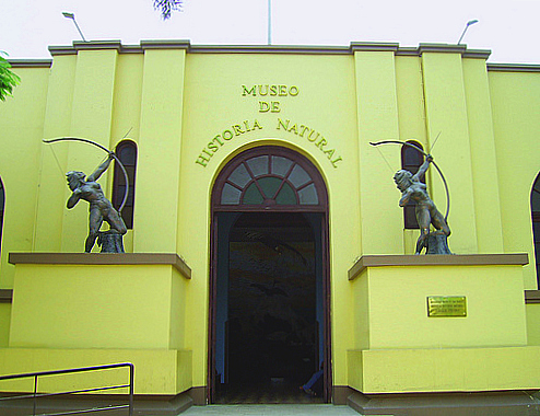 museu de historia natural peru
