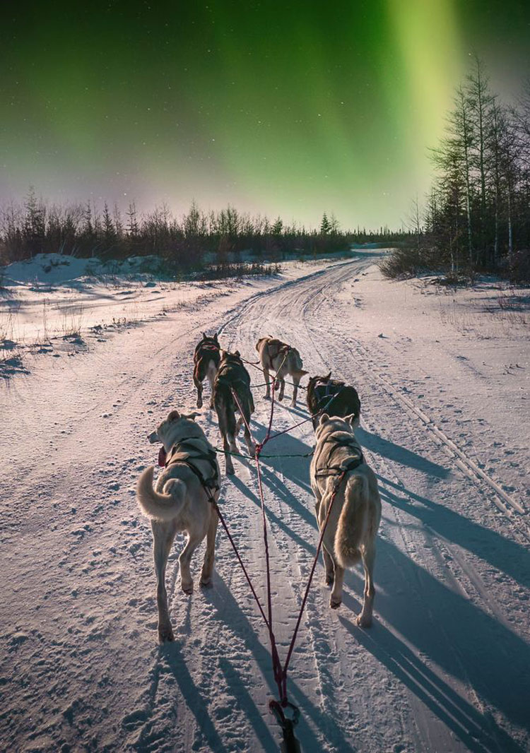 aurora-boreal-no-canadá