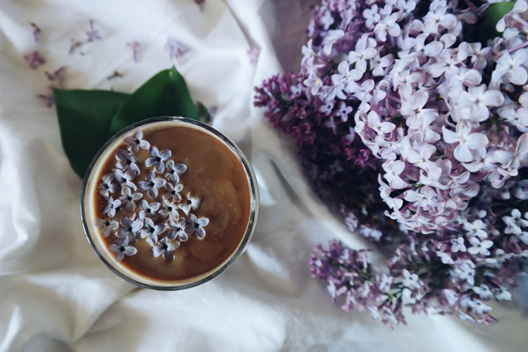 receitas-com-lavanda