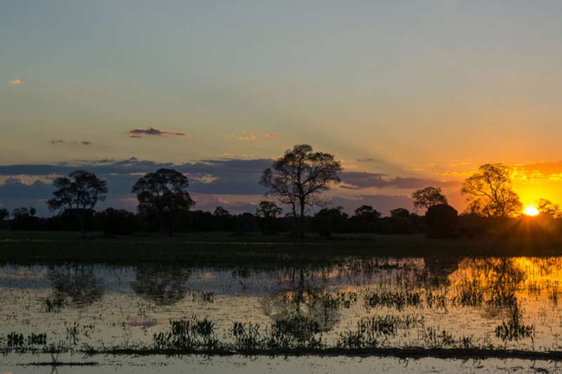 como-planejar-viagem-pantanal