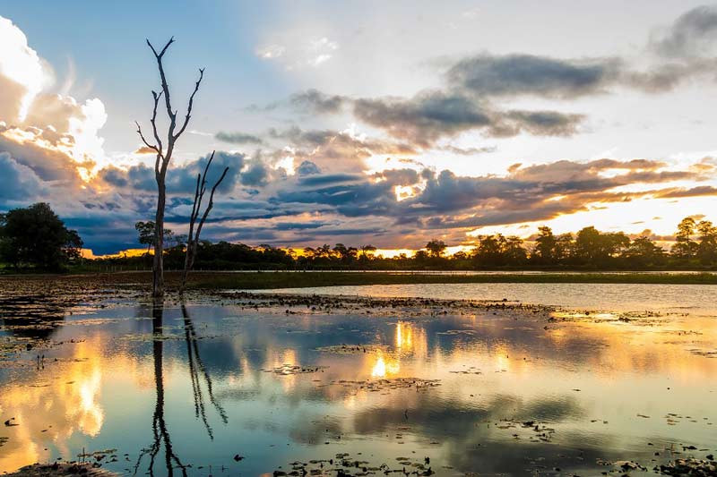 pantanal-amazonia