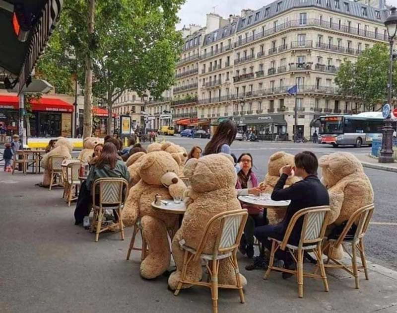 ursos-em-restaurante-em-paris-para-isolamento