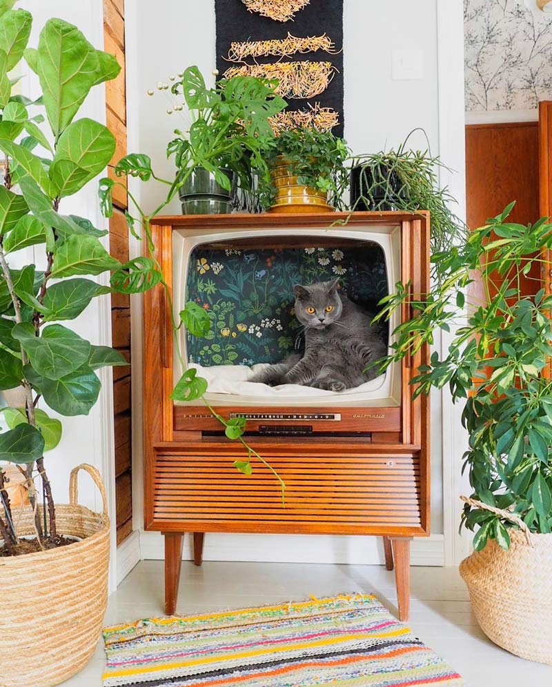 cama-gatos-tv-retro-como-fazer