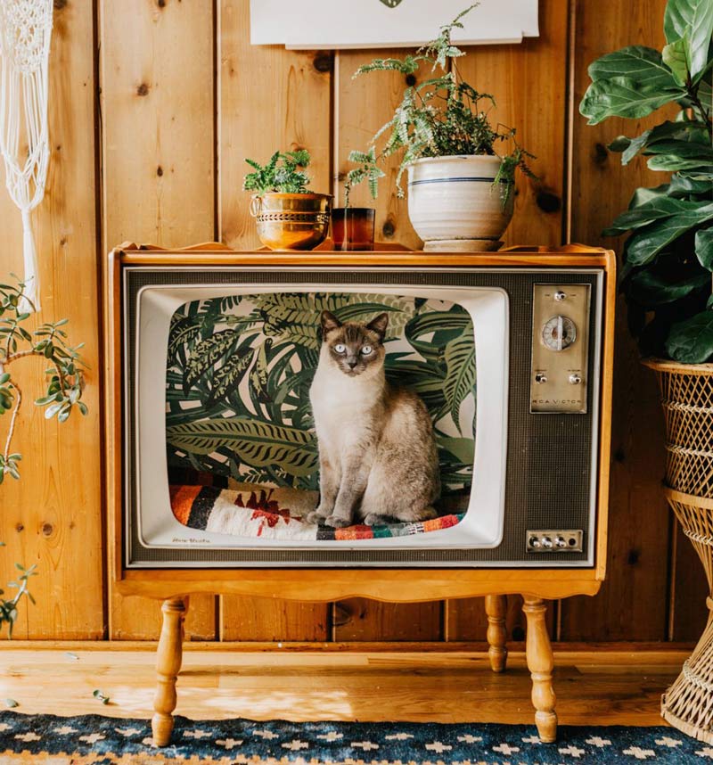 cama-para-gatos-tv-retro