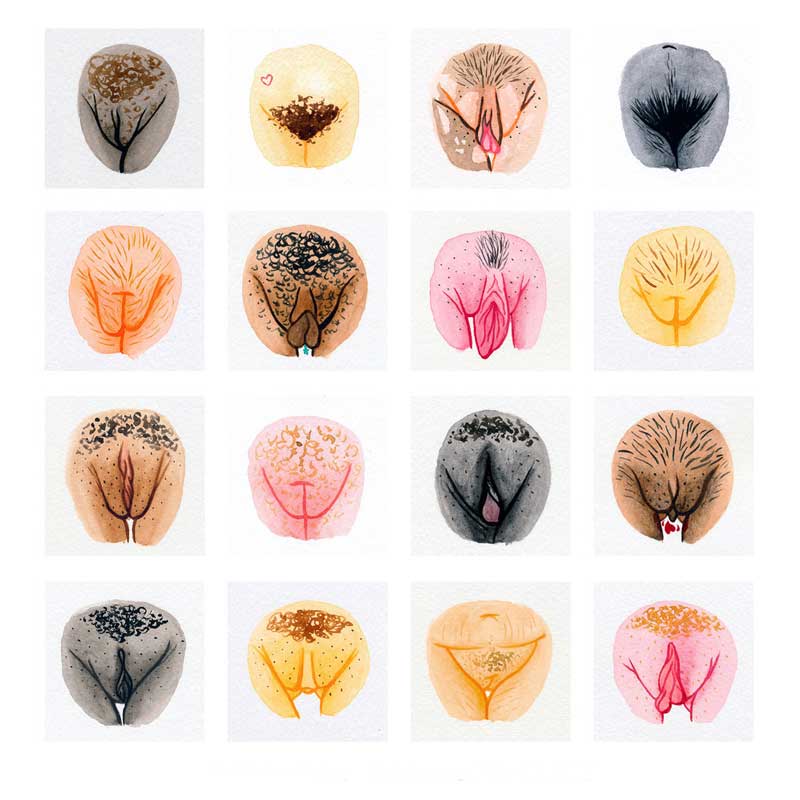 fotos-de-vulva-femininas