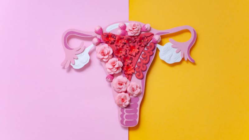 endometriose-tratamentos-causas-sintomas-utero