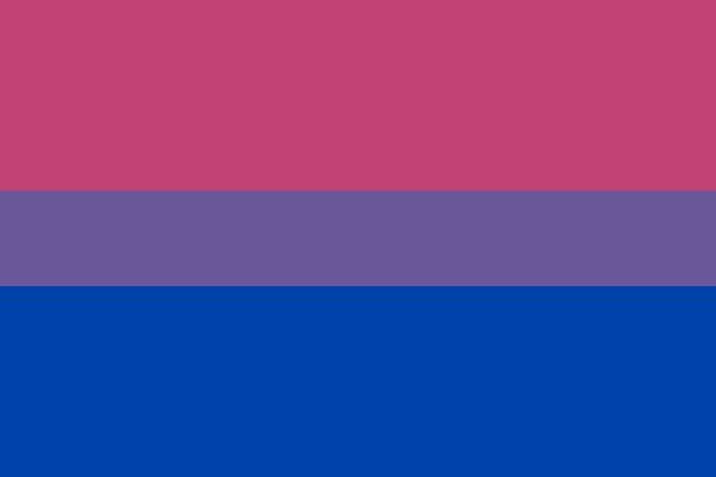 bandeira Bissexual