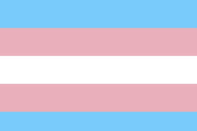 bandeira Trans