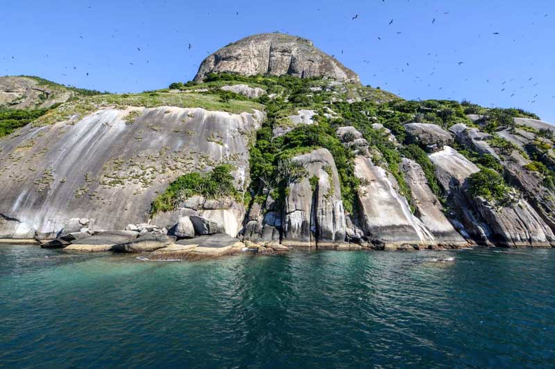 arquipélago de Alcatrazes São Sebastião